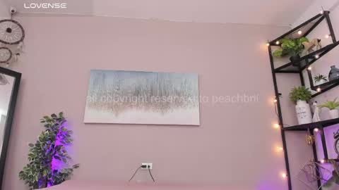 Snapshot of peachbrii chatting on 05/12/26, 12:46 Briana online show from 05/12/26, 12:46