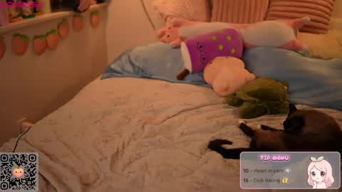 peachypeachgirl online show from 04/06/26, 04:46