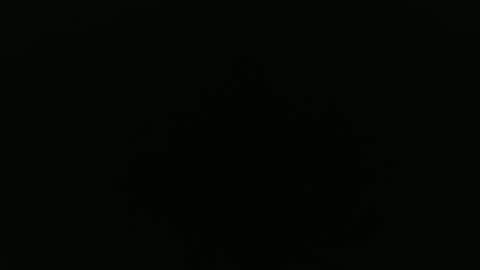 Alex online show from 09/24/25, 08:28