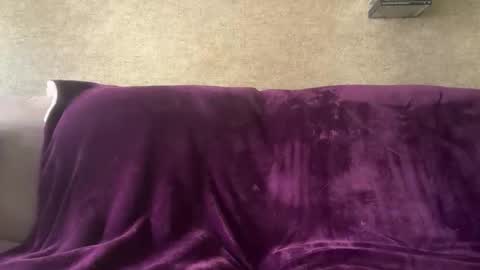 Snapshot of pedrigno79 chatting on 05/24/26, 03:17 Pedrigno 79 online show from 05/24/26, 03:17