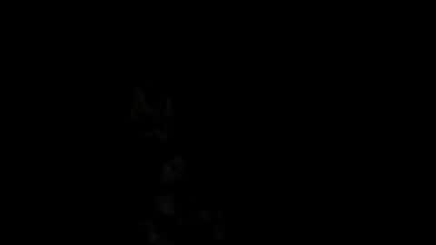 Alex online show from 02/18/25, 01:00