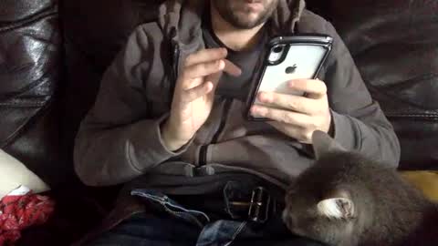 Snapshot of pedrotheamateur chatting on 12/03/24, 12:38 pedrotheamateur online show from 12/03/24, 12:38