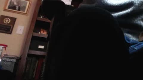 Snapshot of pem1650 chatting on 01/12/25, 10:54 pem1650 online show from 01/12/25, 10:54