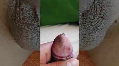 Penils online show from 03/03/26, 07:09