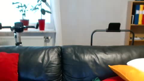 NordicBullForMilking online show from 06/04/26, 05:02