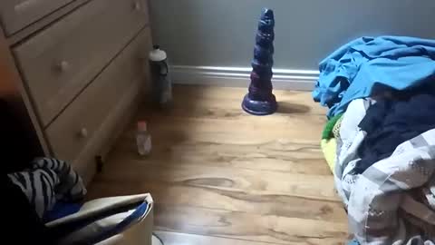 perdz768563 online show from 03/22/26, 11:30