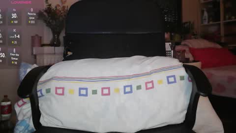 Snapshot of peregrintpelfox chatting on 02/03/26, 08:30 peregrintpelfox online show from 02/03/26, 08:30