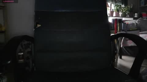 Snapshot of peregrintpelfox chatting on 02/04/26, 09:04 peregrintpelfox online show from 02/04/26, 09:04