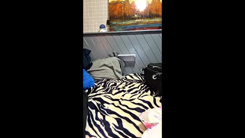 perfectcockandsexyfeet online show from 06/07/26, 03:32