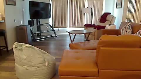 perfecto1957 online show from 12/03/24, 07:55