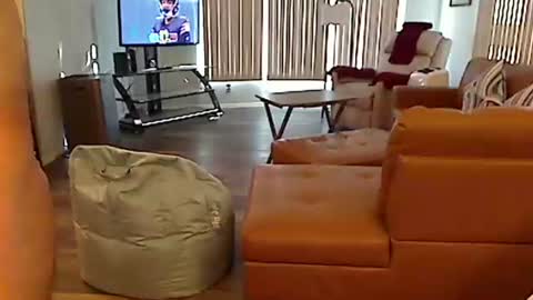 perfecto1957 online show from 12/22/24, 08:03