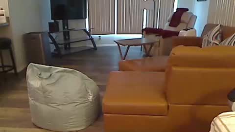 perfecto1957 online show from 12/24/24, 03:58