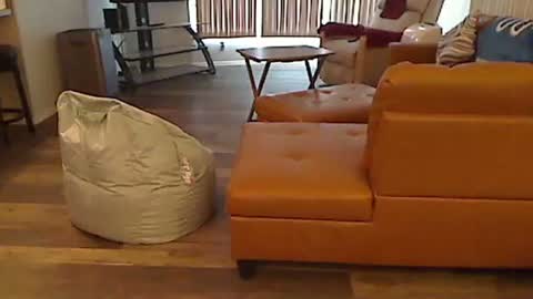 perfecto1957 online show from 01/05/25, 04:48