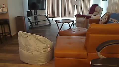 perfecto1957 online show from 02/13/25, 04:39