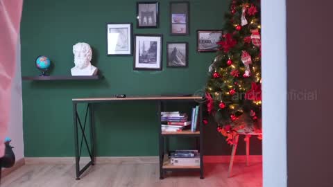 andres    online show from 12/28/24, 08:25