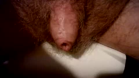 peterpeteropoulos online show from 02/20/25, 07:41