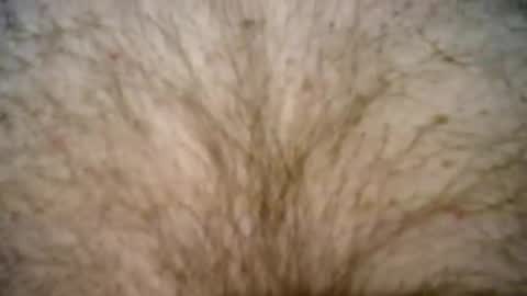 peterpeteropoulos online show from 02/27/25, 07:37