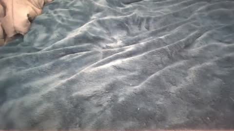 Little cupcake online show from 02/26/25, 02:59