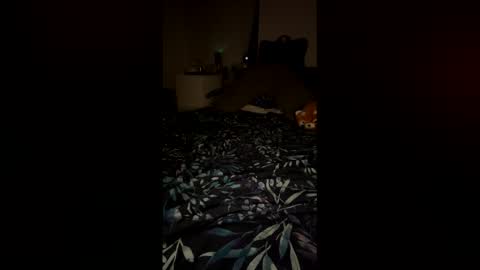 PetiteCurves online show from 02/12/26, 11:33