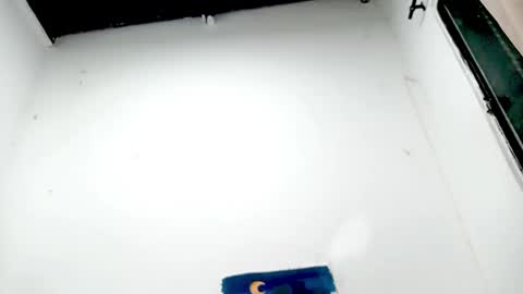 Snapshot of petiteivoryqueen chatting on 11/26/25, 04:57 danna online show from 11/26/25, 04:57