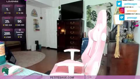 Snapshot of petitesage chatting on 12/25/24, 11:53 petitesage online show from 12/25/24, 11:53