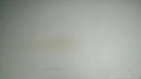 petitgirl88 online show from 06/24/26, 05:39