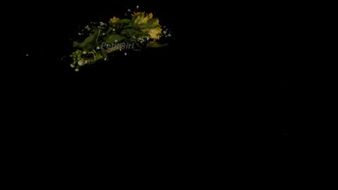 Snapshot of petitgirl_ chatting on 01/01/25, 04:18 J A S S online show from 01/01/25, 04:18