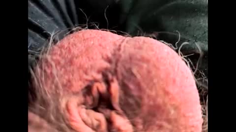 Snapshot of petrol63102 chatting on 02/26/26, 01:10 petrol63102 online show from 02/26/26, 01:10