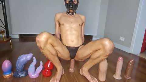 petsexboy online show from 06/10/26, 01:28