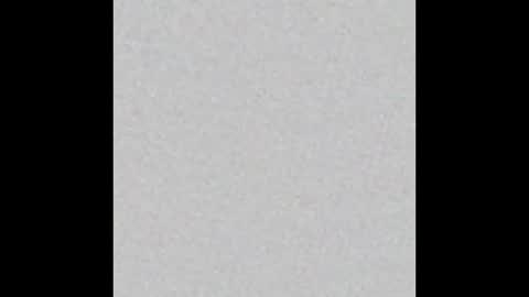 Snapshot of peytonn_monroe chatting on 01/19/26, 12:53 peytonn_monroe online show from 01/19/26, 12:53