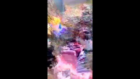 pezzabigcock online show from 02/17/26, 07:27