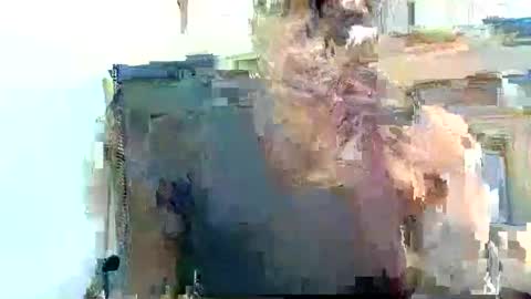 Pfani online show from 04/19/26, 12:15