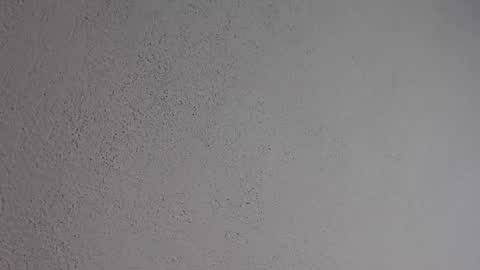 PatriceMakayla CD online show from 06/15/26, 07:05
