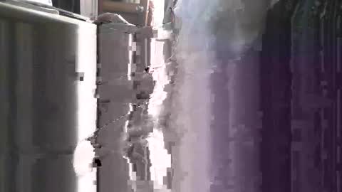 pickle996 online show from 10/31/25, 09:32