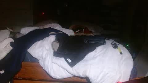 Snapshot of picklerick650 chatting on 11/02/25, 02:25 picklerick650 online show from 11/02/25, 02:25