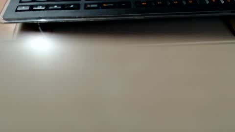 Snapshot of pier49x chatting on 12/22/24, 04:48 pier49x online show from 12/22/24, 04:48