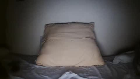 Snapshot of pieslatinos chatting on 01/31/25, 04:14 pieslatinos online show from 01/31/25, 04:14