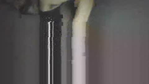 piggyes 74 online show from 09/21/25, 10:44
