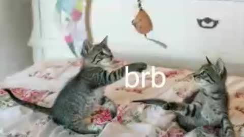Kitty online show from 06/25/26, 01:38