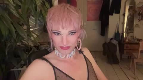 pinkfag online show from 04/09/26, 07:19