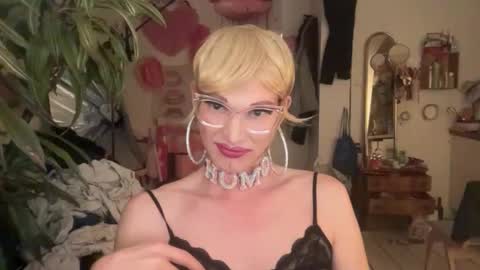 pinkfag online show from 04/13/26, 03:17