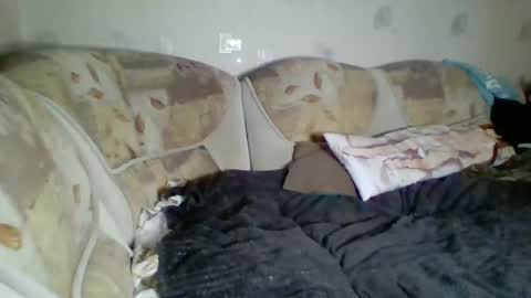 Incubus online show from 01/03/25, 12:43