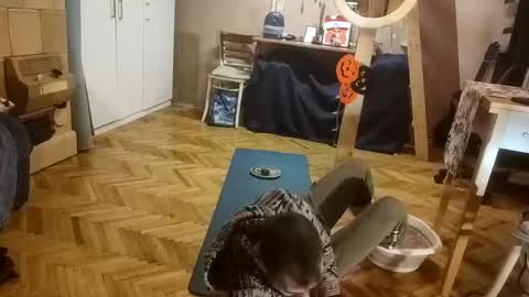Dominik online show from 12/20/25, 12:56