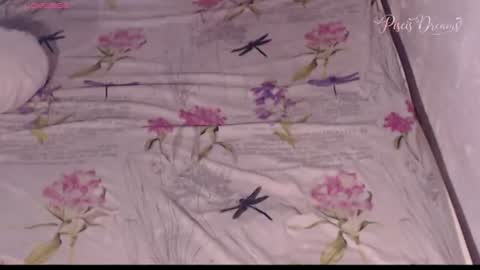 Snapshot of piscis_dreams chatting on 07/27/26, 03:08 PiscisDreams online show from 07/27/26, 03:08