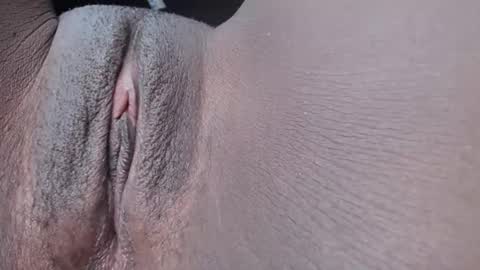 pixel online show from 11/27/25, 06:43