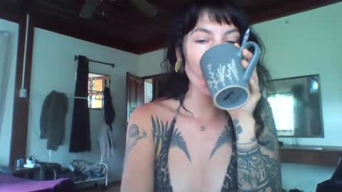 pixiecatfairy online show from 11/13/25, 02:21