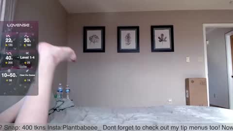Plantbabeee online show from 12/20/24, 06:13