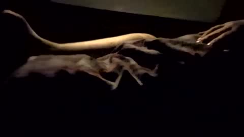 Nichole Vixen  Jacob online show from 03/08/25, 12:09