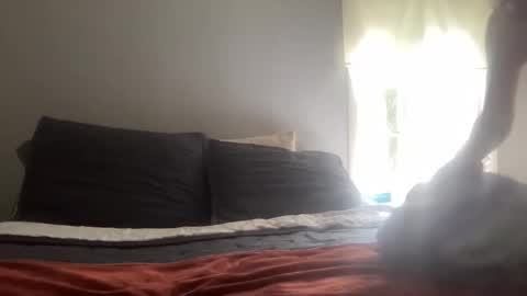 playfulpork online show from 04/17/26, 09:18