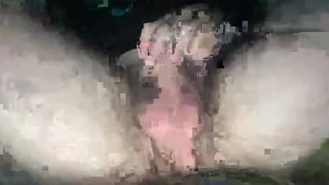 playwitityuh online show from 09/27/25, 04:39